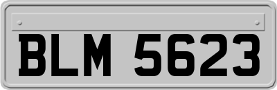 BLM5623