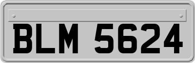 BLM5624