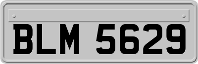 BLM5629