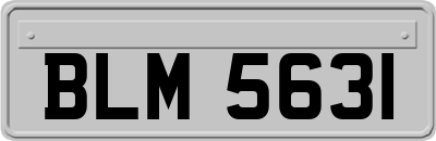 BLM5631