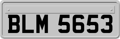 BLM5653