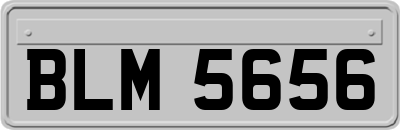 BLM5656