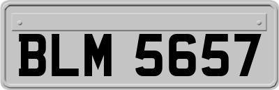 BLM5657