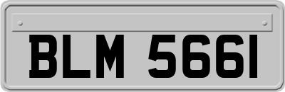 BLM5661
