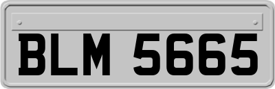 BLM5665