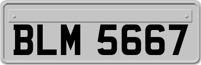 BLM5667