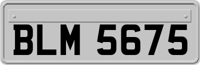 BLM5675