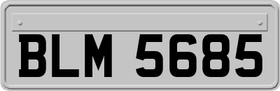 BLM5685