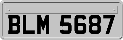 BLM5687