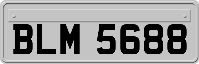 BLM5688