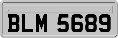 BLM5689