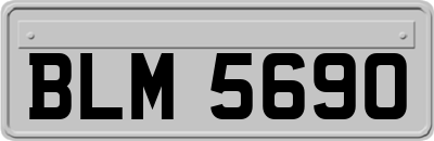 BLM5690