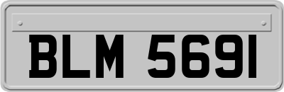 BLM5691