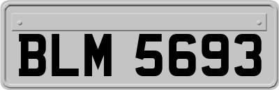 BLM5693