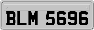 BLM5696