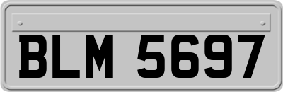 BLM5697