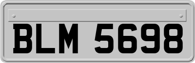 BLM5698