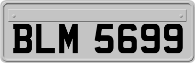 BLM5699
