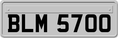 BLM5700