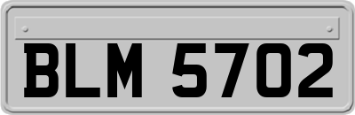 BLM5702
