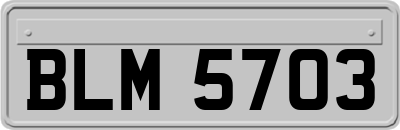 BLM5703