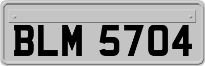 BLM5704
