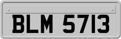 BLM5713