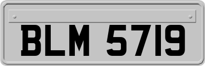 BLM5719