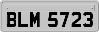BLM5723