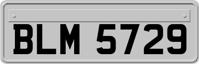 BLM5729