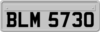 BLM5730