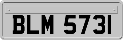 BLM5731