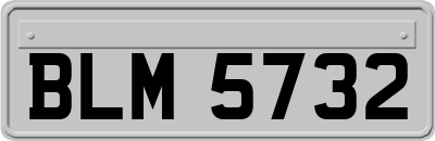 BLM5732