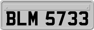 BLM5733