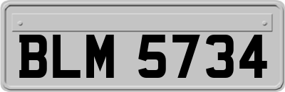 BLM5734
