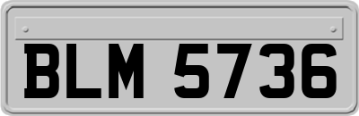 BLM5736