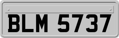 BLM5737