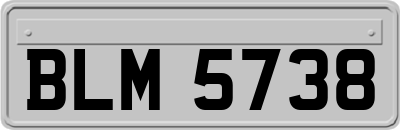 BLM5738