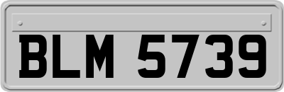 BLM5739