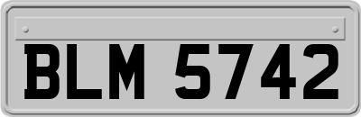BLM5742