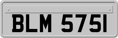 BLM5751