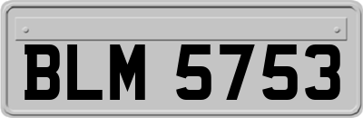 BLM5753