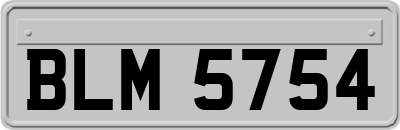 BLM5754