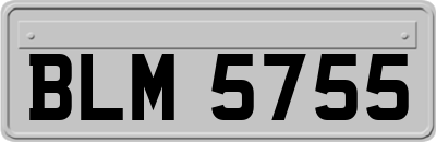 BLM5755