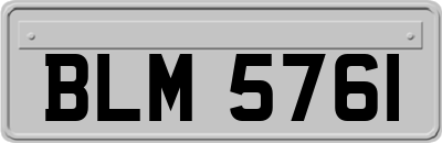 BLM5761