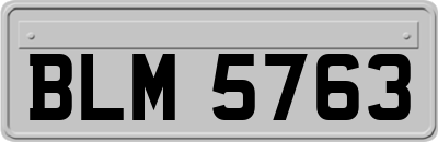 BLM5763
