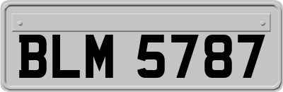 BLM5787