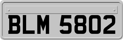 BLM5802