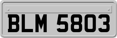 BLM5803