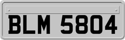 BLM5804